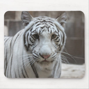 Alfombrilla De Ratón Mousepad blanco del tigre