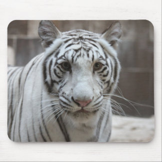 Alfombrilla De Ratón Mousepad blanco del tigre