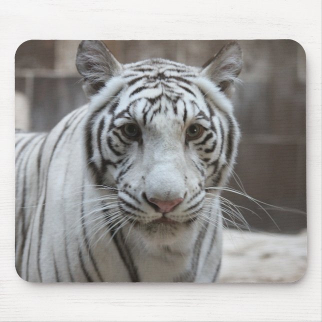Alfombrilla De Ratón Mousepad blanco del tigre (Frente)
