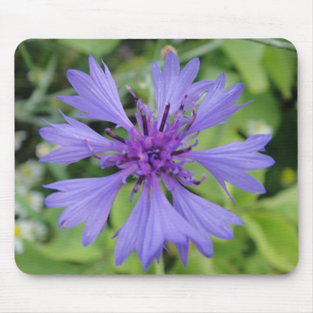 Alfombrilla De Ratón Mousepad blaue Kornblume (Frente)