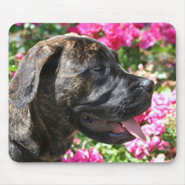 Alfombrilla De Ratón Mousepad Brindle del perrito del mastín (Frente)