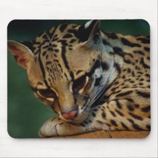 Alfombrilla De Ratón Mousepad cansado del gatito