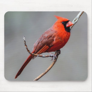 Alfombrilla De Ratón Mousepad cardinal