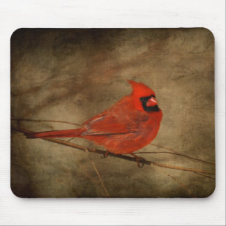 Alfombrilla De Ratón Mousepad cardinal masculino