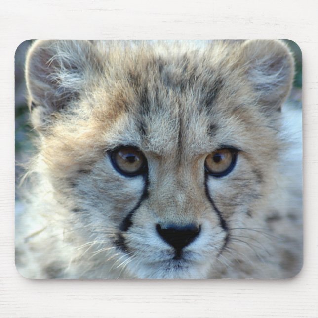 Alfombrilla De Ratón Mousepad-cheetah-cub10x10 (Frente)