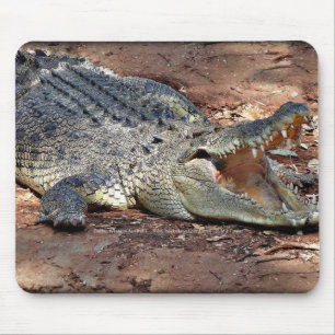 Alfombrilla De Ratón Mousepad - cocodrilo