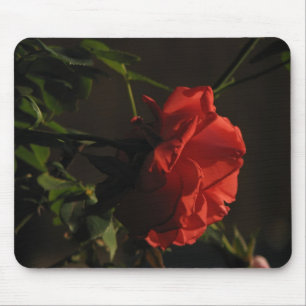 Alfombrilla De Ratón Mousepad color de rosa coralino