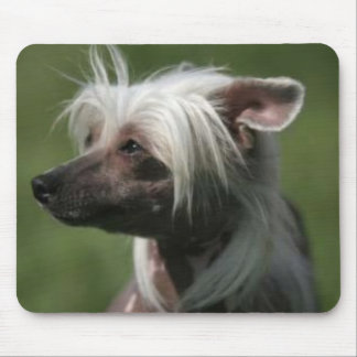 Alfombrilla De Ratón Mousepad con cresta chino