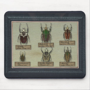 Alfombrilla De Ratón Mousepad con los escarabajos de Goliat