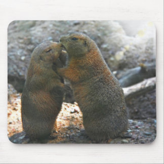 Alfombrilla De Ratón Mousepad con los pares lindos de la marmota
