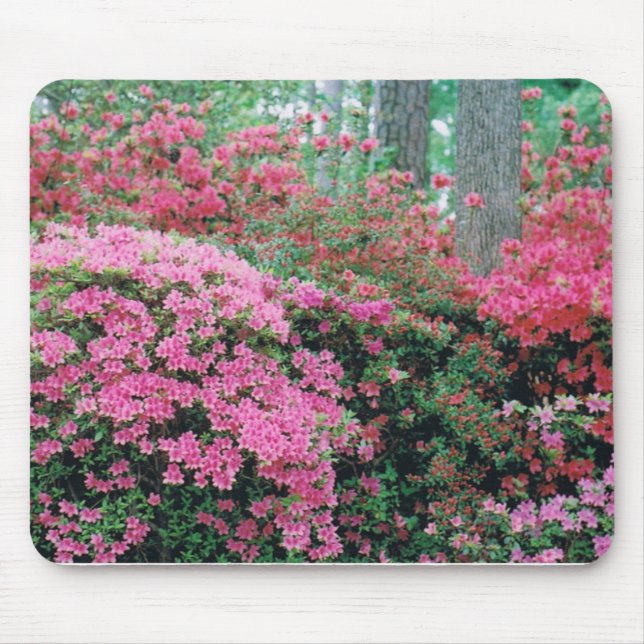 Alfombrilla De Ratón Mousepad con un spray de azaleas rosadas (Frente)