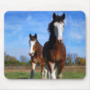 Alfombrilla De Ratón Mousepad de 2 Clydesdales
