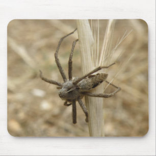 Alfombrilla De Ratón Mousepad de araña crujiente