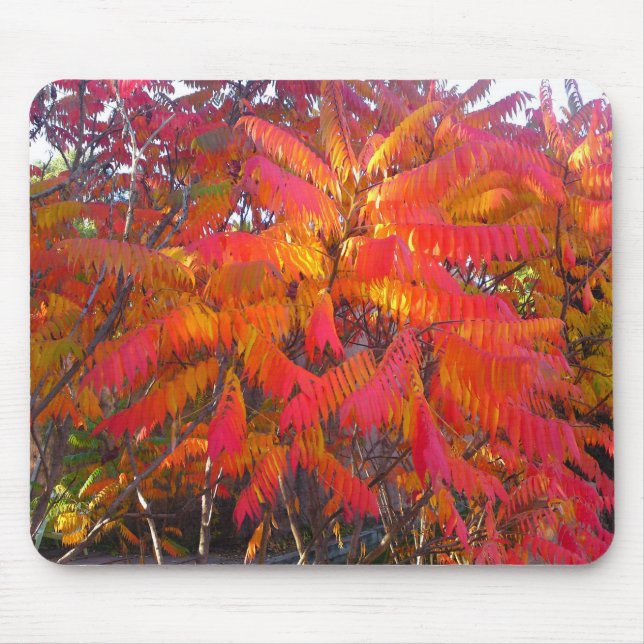 Alfombrilla De Ratón Mousepad de árbol de hoja roja (Frente)