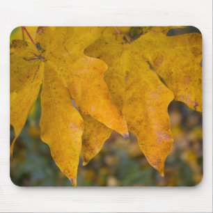 Alfombrilla De Ratón Mousepad de arce de hoja grande