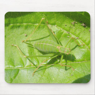 Alfombrilla De Ratón Mousepad de camuflaje de cricket verde