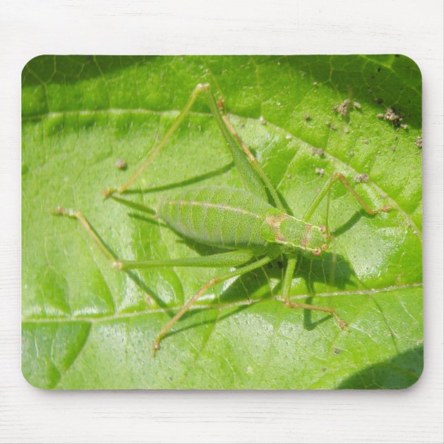 Alfombrilla De Ratón Mousepad de camuflaje de cricket verde (Frente)