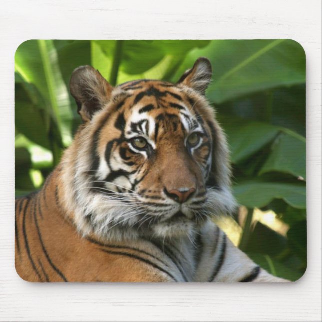 Alfombrilla De Ratón Mousepad de cara del tigre (Frente)