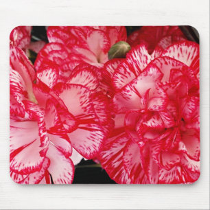 Alfombrilla De Ratón Mousepad de Cárnico-Computadora Rojo y Blanco
