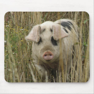 Alfombrilla De Ratón Mousepad de cerdo