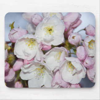 Alfombrilla De Ratón Mousepad de ciruelo japonés