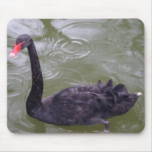 Alfombrilla De Ratón Mousepad de cisne negro