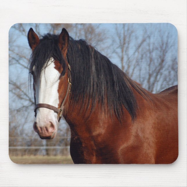 Alfombrilla De Ratón Mousepad de Clydesdale (Frente)