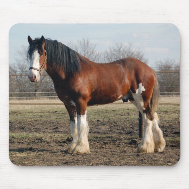 Alfombrilla De Ratón Mousepad de Clydesdale (Frente)