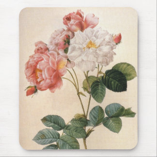 Alfombrilla De Ratón Mousepad de color de agua de flores Rosa de época