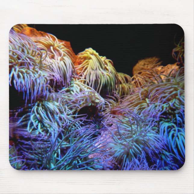 Alfombrilla De Ratón Mousepad de coral azul (Frente)