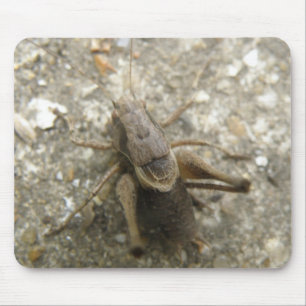 Alfombrilla De Ratón Mousepad de críquet de campo marrón