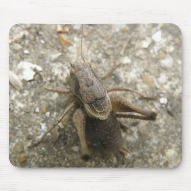 Alfombrilla De Ratón Mousepad de críquet de campo marrón (Frente)