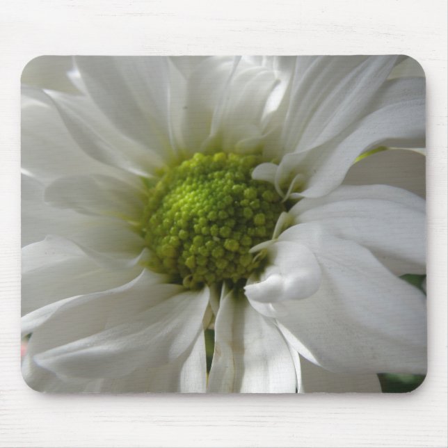 Alfombrilla De Ratón Mousepad de crisantemo blanco (Frente)