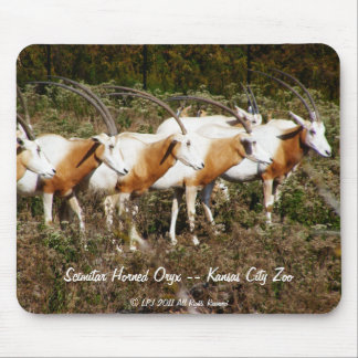 Alfombrilla De Ratón Mousepad de cuernos del Oryx del Scimitar