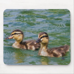 Alfombrilla De Ratón mousepad de dos anadones
