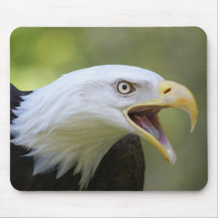 Alfombrilla De Ratón Mousepad de Eagle calvo