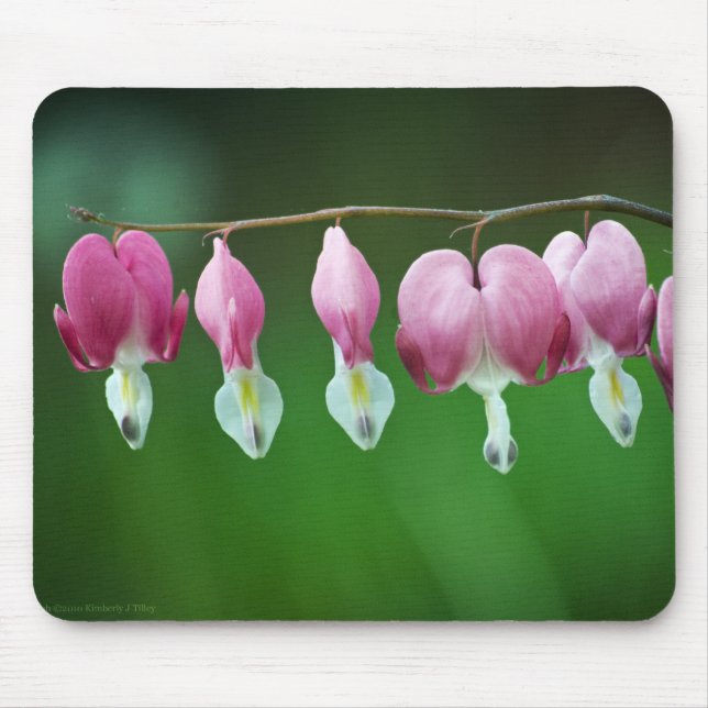 Alfombrilla De Ratón Mousepad de encantos rosados (Frente)