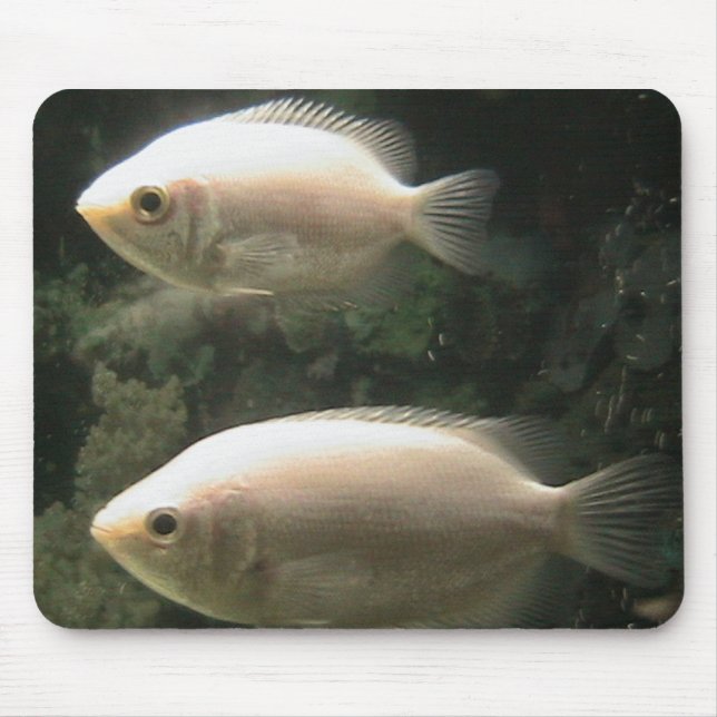 Alfombrilla De Ratón Mousepad de Fishies (Frente)