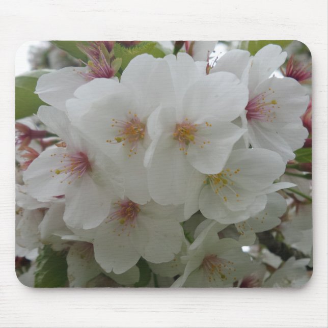 Alfombrilla De Ratón Mousepad de flor blanca (Frente)