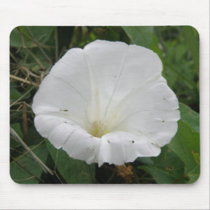 Alfombrilla De Ratón Mousepad de flor convolvulsa blanca bonito