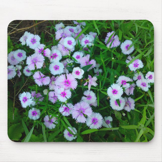 Alfombrilla De Ratón Mousepad de flor de Dianthus blanco (Frente)