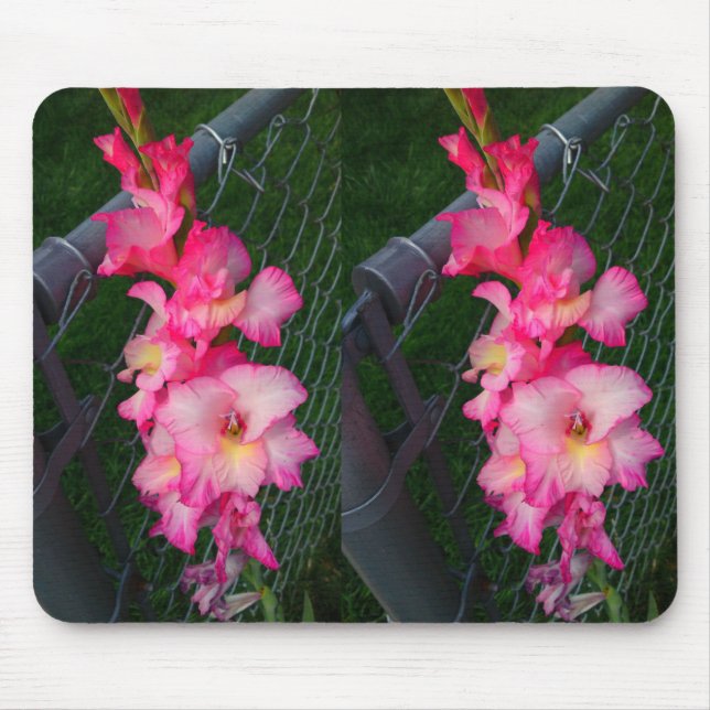 Alfombrilla De Ratón Mousepad de flor de gladiola rosa (Frente)