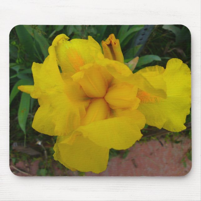 Alfombrilla De Ratón Mousepad de flor de iris amarillo (Frente)