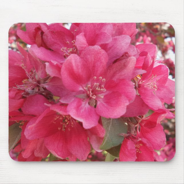 Alfombrilla De Ratón Mousepad de flor de primavera (Frente)
