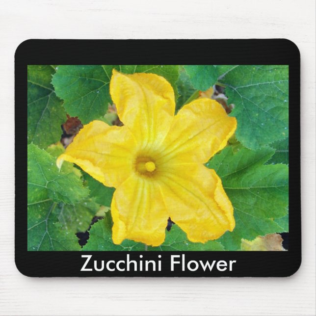 Alfombrilla De Ratón Mousepad de flor de Zucchini (Frente)