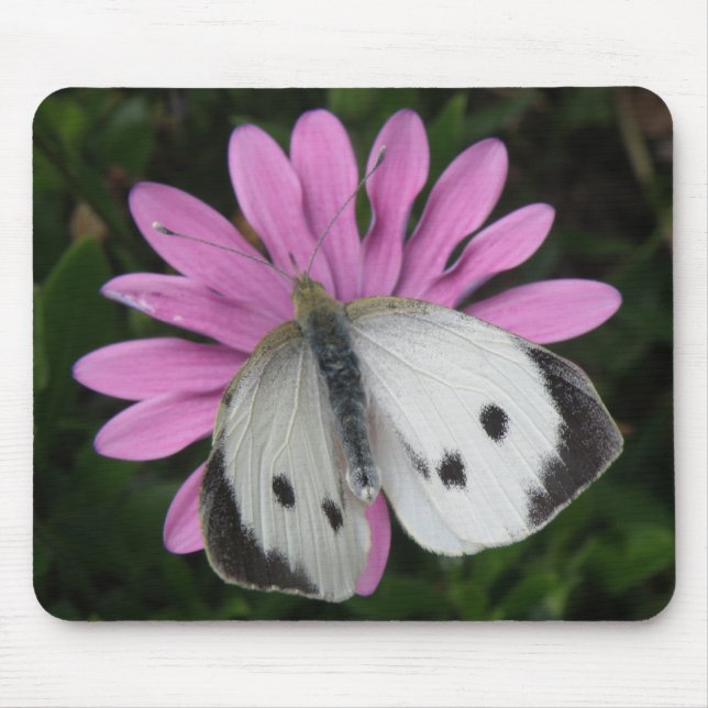 Alfombrilla De Ratón Mousepad de flor rosa y mariposa (Frente)