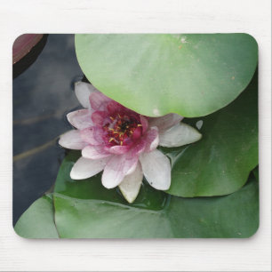 Alfombrilla De Ratón Mousepad de Flwower de Lotus rosa
