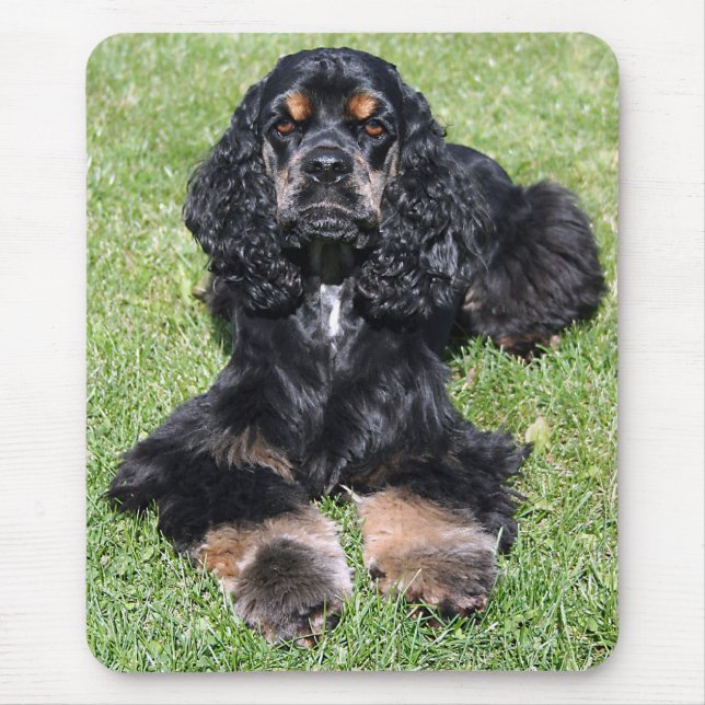 Alfombrilla De Ratón Mousepad de fotografía de Cocker Spaniel (Frente)
