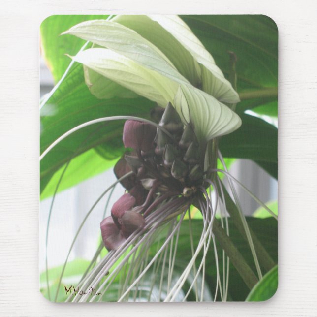 Alfombrilla De Ratón Mousepad de fotografía de planta tropical (Frente)