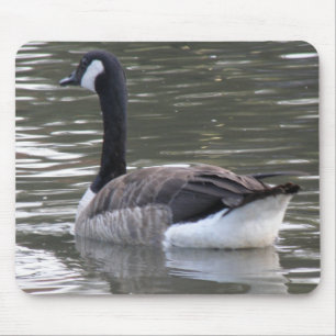 Alfombrilla De Ratón Mousepad de ganso de Canadá
